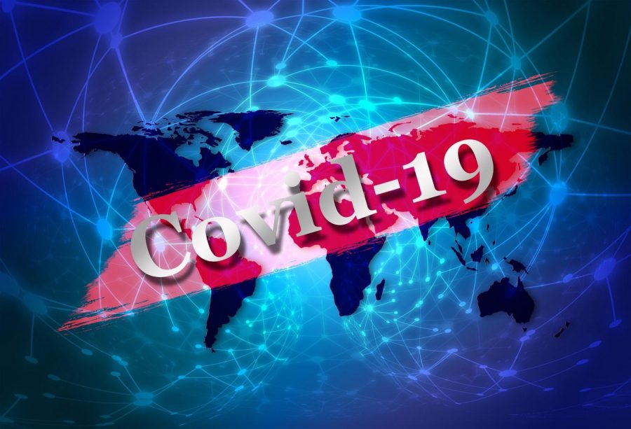 As the novel coronavirus infiltrates more and more aspects of everyday life for Americans, WSPN examines how the virus has impacted Wayland and neighboring communities.