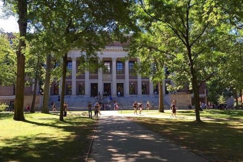 After weeks of remote learning and canceled plans, colleges have to reckon with an unfortunate reality: the coronavirus might mean school campus closures during the fall semester.