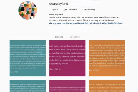 DearWayland: The Instagram account that shocked the community