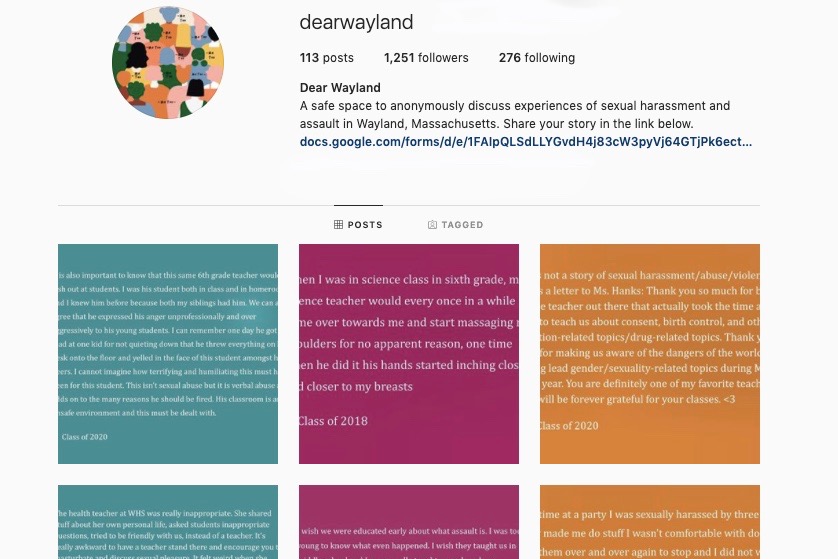 DearWayland%3A+The+Instagram+account+that+shocked+the+community