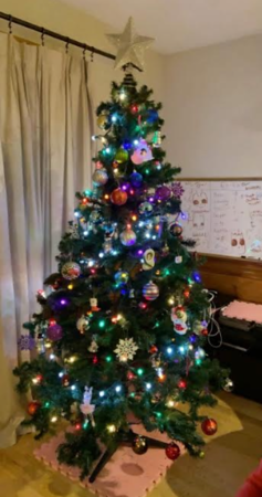 This is another Christmas tree that sophomore Erika Lais family has and they always try to decorate their Christmas tree during Thanksgiving weekend.