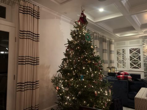 Junior Emily Staiti and her family decorate their tree every year in mid December. They always put it in the same place and decorate it as a family