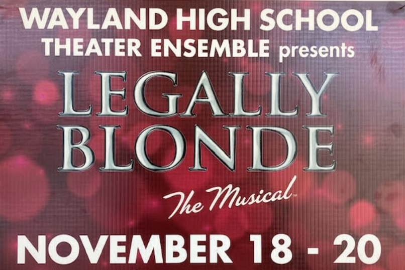 WHSTE is back for the first time in two years to present Legally Blonde to the Wayland community. Posters have been hung up around the school to advertise and inform others about the upcoming event. The cast performances run through Nov. 18-20th at 7:30 pm.