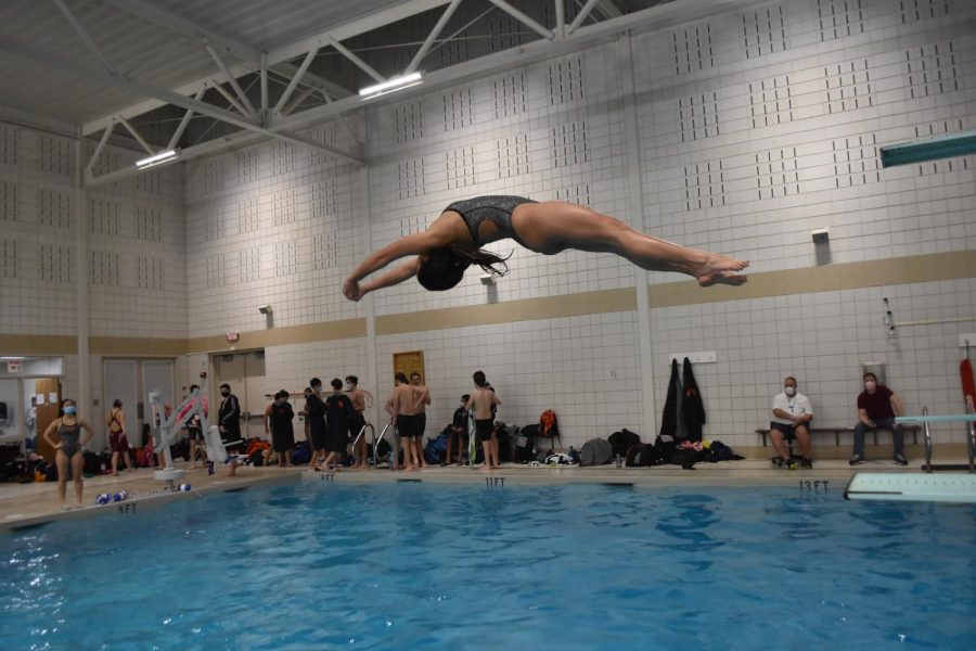 Wayland swim and dive belly flops against Westford Academy
