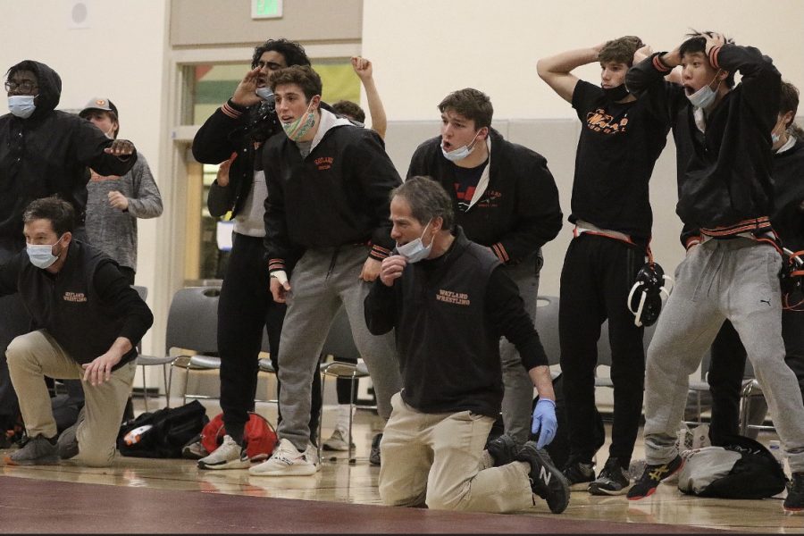 Members of the Wayland wrestling team watch with anticipation as their teammate fights for a win at their meet against Concord-Carlisle. The Warriors ended up beating Concord-Carlisle 52-19. I am looking forward to winning the DCL, senior captain Ryan Fennelly said. DCL matchups mean a lot to the team, and winning the DCL means a lot to the history of Wayland wrestling.