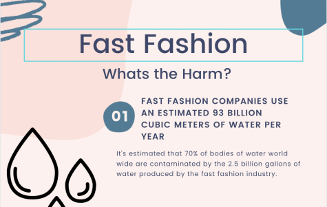 Fast fashion and its harmful effects