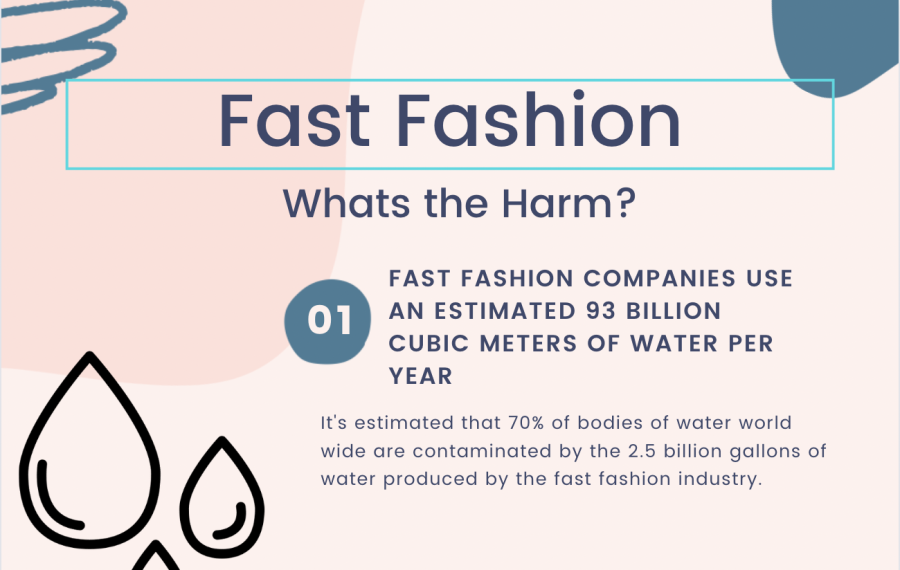 Fast+fashion+and+its+harmful+effects