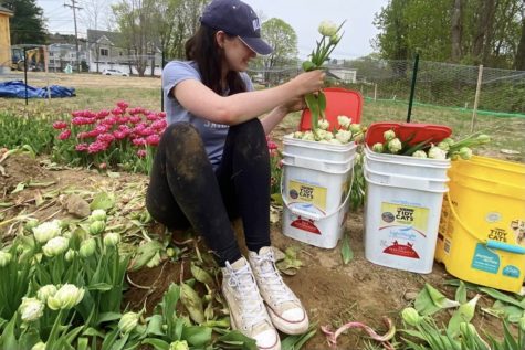 Junior Nina Wilson recycles kitty litter buckets to make flower tubs. “A lot of our stuff is donated by the community,” STEMS co-founder Cassie McGonagle said. “Almost all of our vases are donated by the community, and we give back to the community in that way too.”