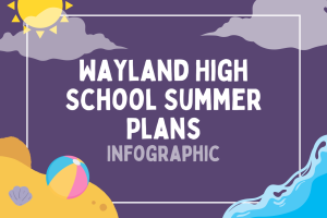 Summer plans (infographic)
