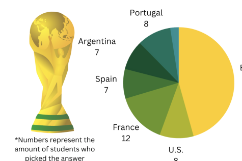 Infographic - Who will win the World Cup?