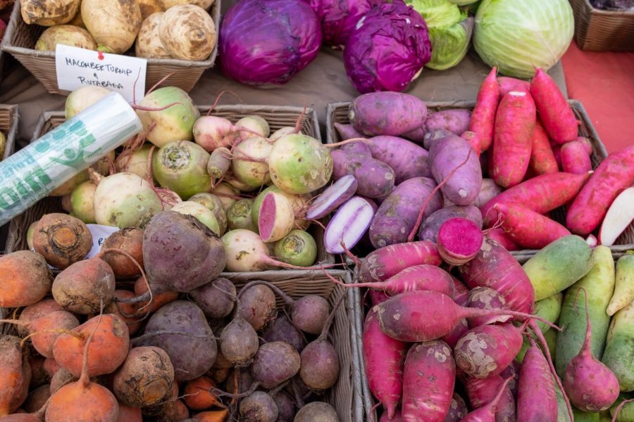 The farmers market features an abundance of colorful vegetables, all locally harvested in the Massachusetts area.