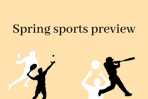 WHS spring sports preview