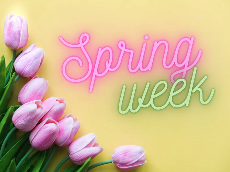 From+April+10+to+April+14%2C+spring+week+will+be+held+to+kick+off+the+start+of+spring.+Many+events+will+be+taking+place%2C+which+all+WHS+students+are+welcomed+to+attend.+