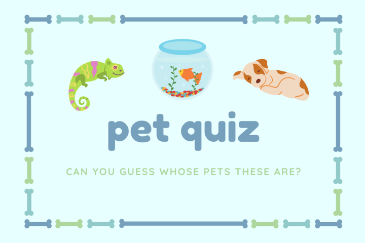 Quiz: Can you guess whose pets these are?