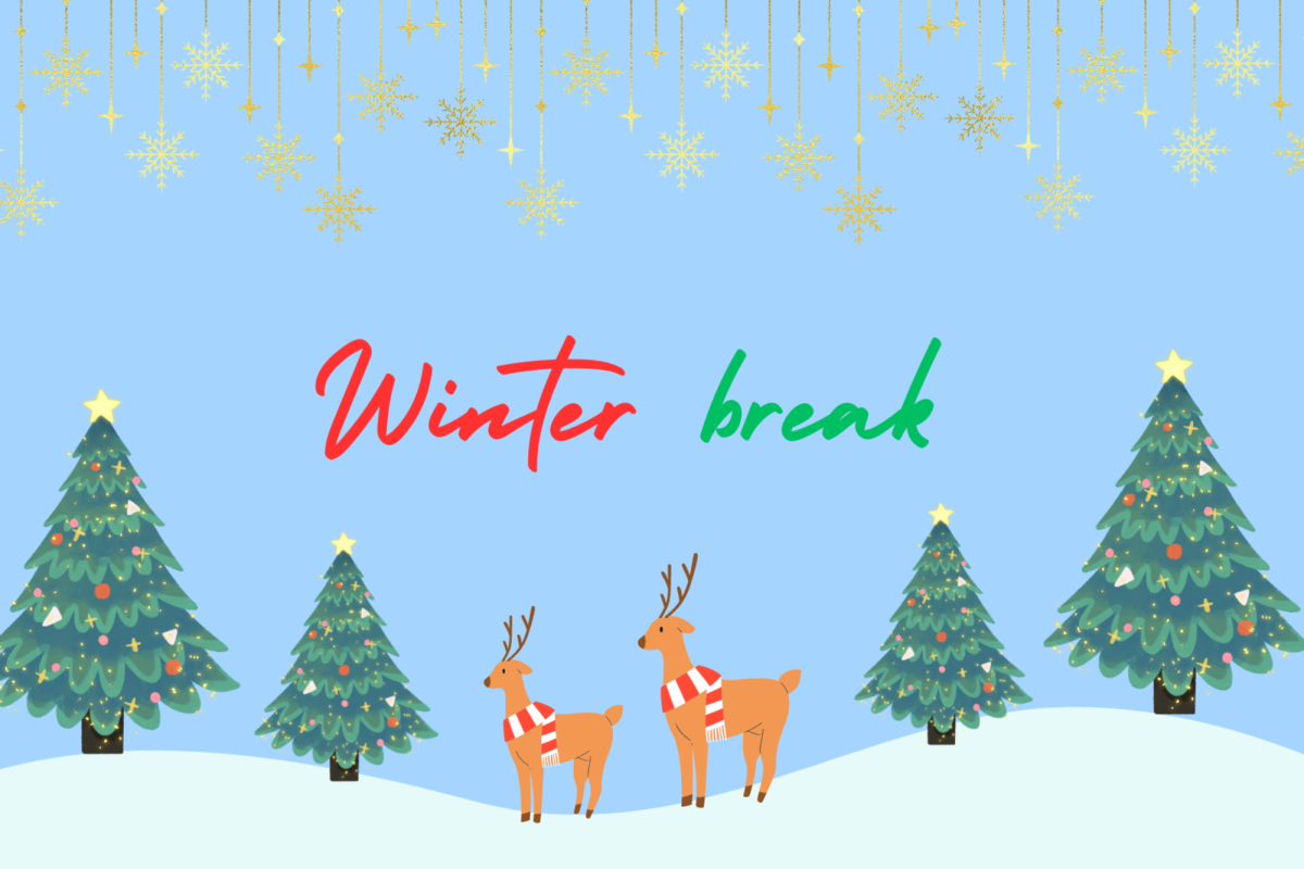 WSPNs Sophia Verma discusses her thoughts on the duration of the holiday break here at Wayland High School.