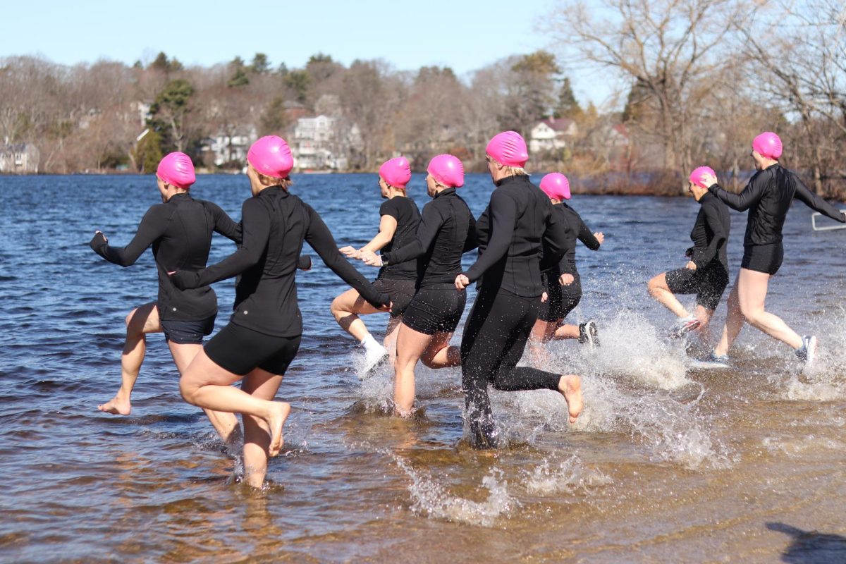 The first group of adults runs into the cold water during the seventh annual ice plunge for Elodie Kubik. Some wore swim caps in pink, which is Elodies favorite color. Some also wore caps that said Plunge for Elodie.