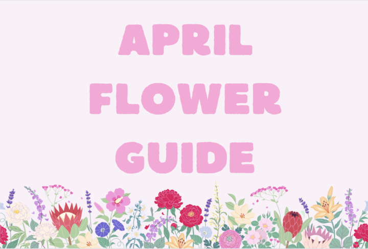 Infographic: Flowers in April