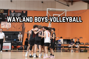 Wayland boys volleyball: Journey to the state championship