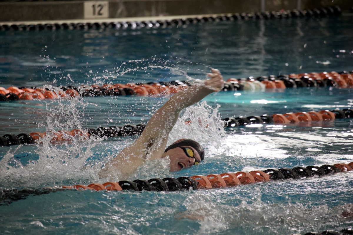 Senior Mattias 'Matty' Johansson races freestyle. The Wayland Community Pool hosted the meet.