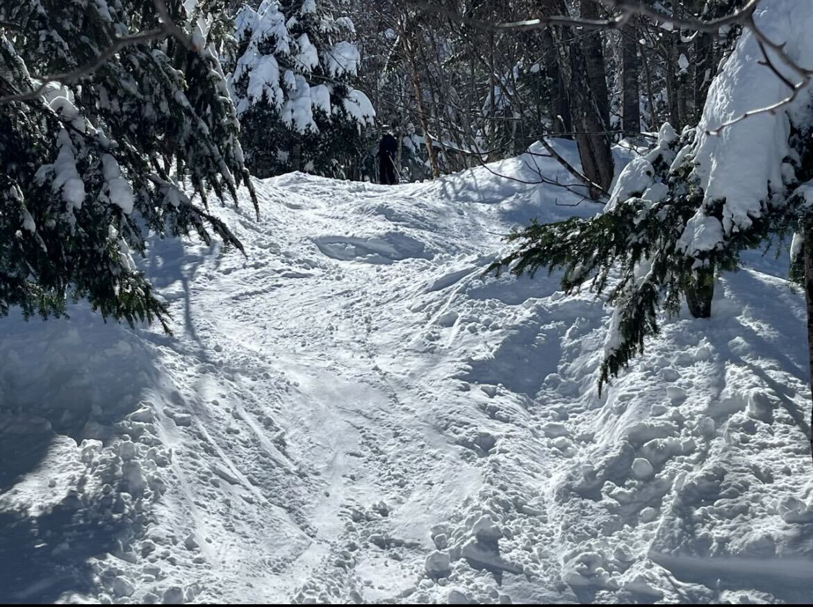 WSPN's Molly Bergeron and Annabelle Hage investigate the past of Waylands snowfall and discuss various Wayland residents predictions for future snowfall.