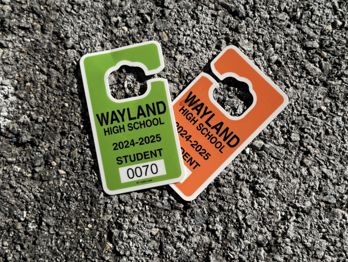 Students obtain their licenses during different times of the school year, and the price range of parking passes for the WHS student lot varies from $220 to $55 as the year goes on. Since every student who parks in the student lot each day requires a parking pass, nearly 200 students have spent hundreds of dollars on parking passes this year. “I think it is kind of ridiculous how the taxes in this town are already consistently one of the highest in the state and we have to spend over 200 dollars just to park at the school,” Student Council President senior Venezia Sebastianelli said.