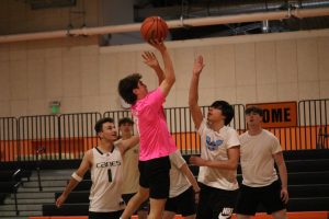 IBL teams dribble towards the end of their seasons