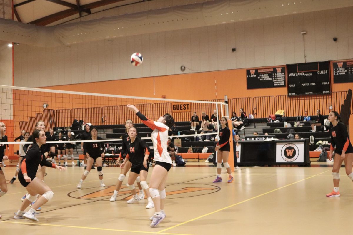 Senior Mia MacLean sets the ball. MacLean wears a different color jersey because she is the libero. "I think that this was one of our weaker games as a team just because we had low energy and weren’t as disciplined," MacLean said. "We’re excited to have the chance to play Wellesley again next Friday and put our best foot forward."