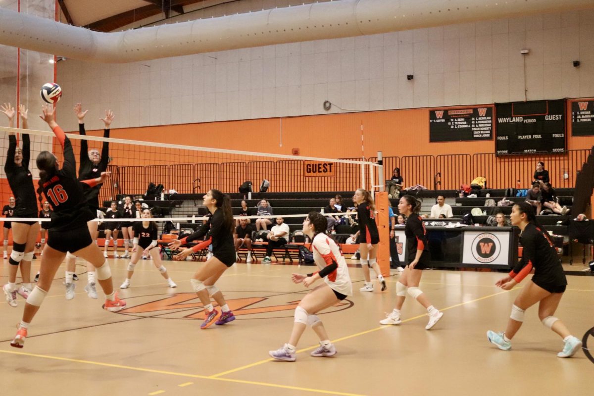 Leaping up for the ball, senior captain Anna Yalli hits the ball. As of Sept. 12, the Boston Globe ranks the girls volleyball team No. 11 in the state.