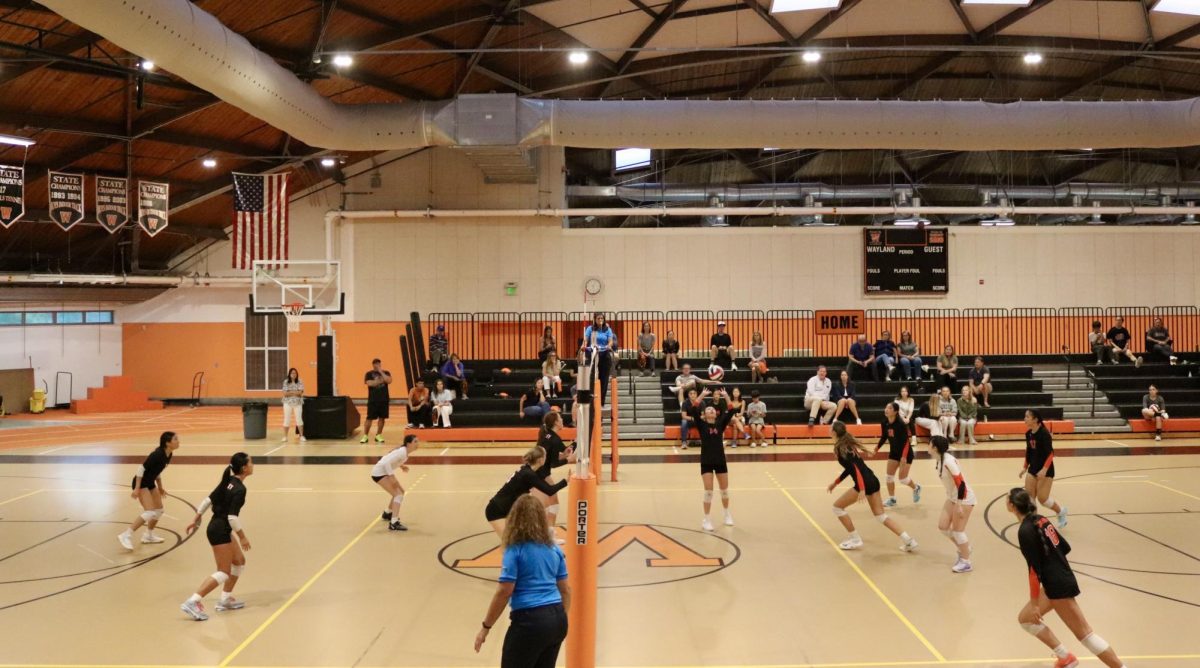 Passing the ball, junior Jayden Moore sets up the play for junior Willa Suratt to hit it. The game took place on Sept. 12 at the Wayland High School field house. This is the Wayland's fourth game of the season.