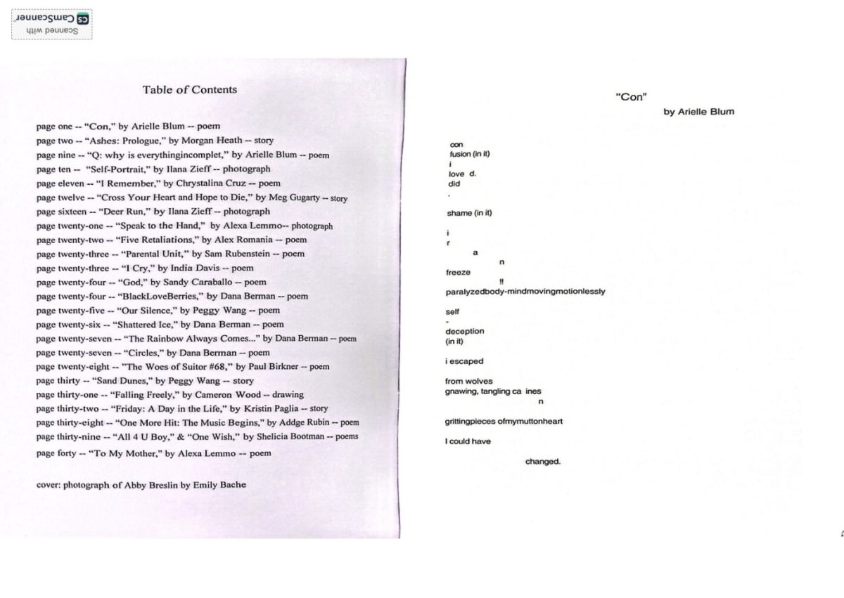 This is the 2006 Chutzpah table of contents, with the starting poem called "Con" by Arielle Blum. 