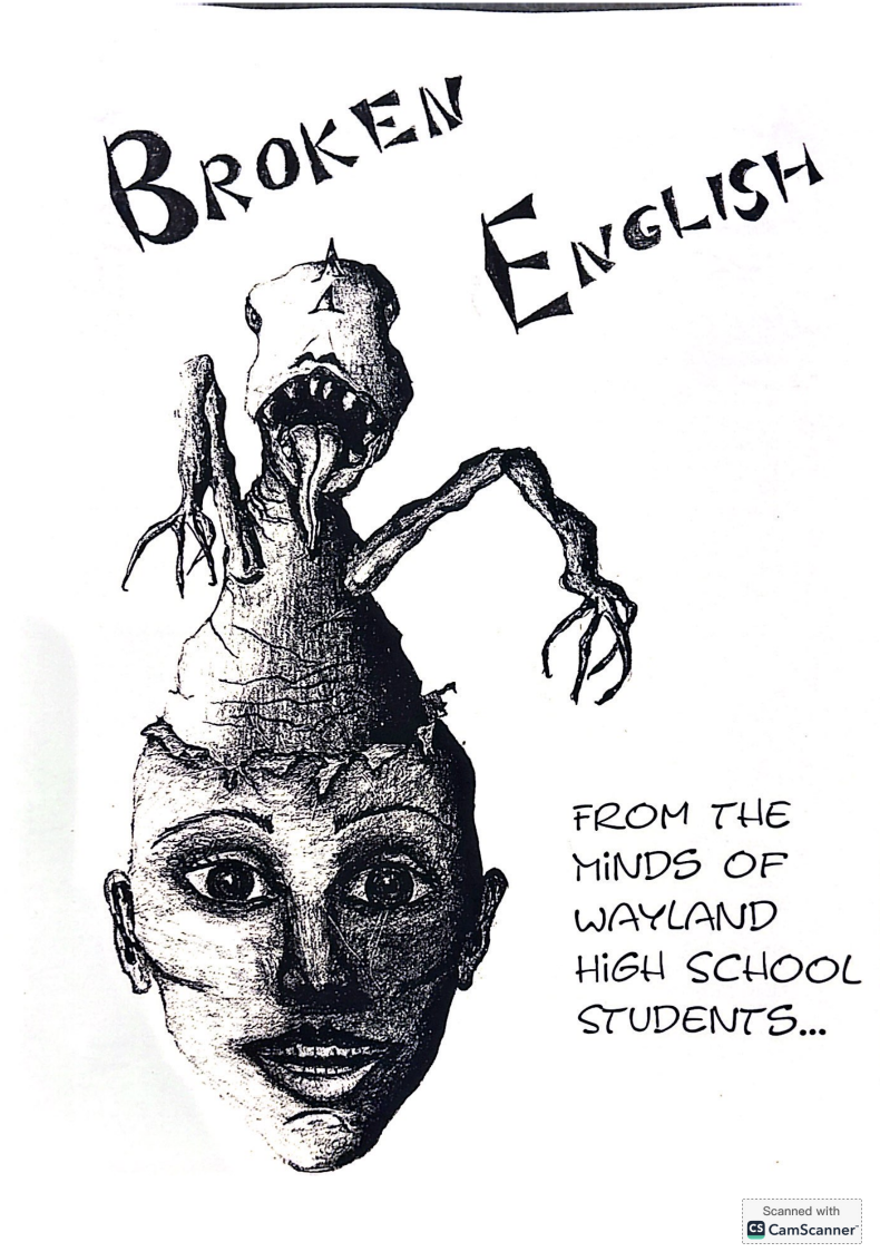 The cover for a 1996 edition Broken English.