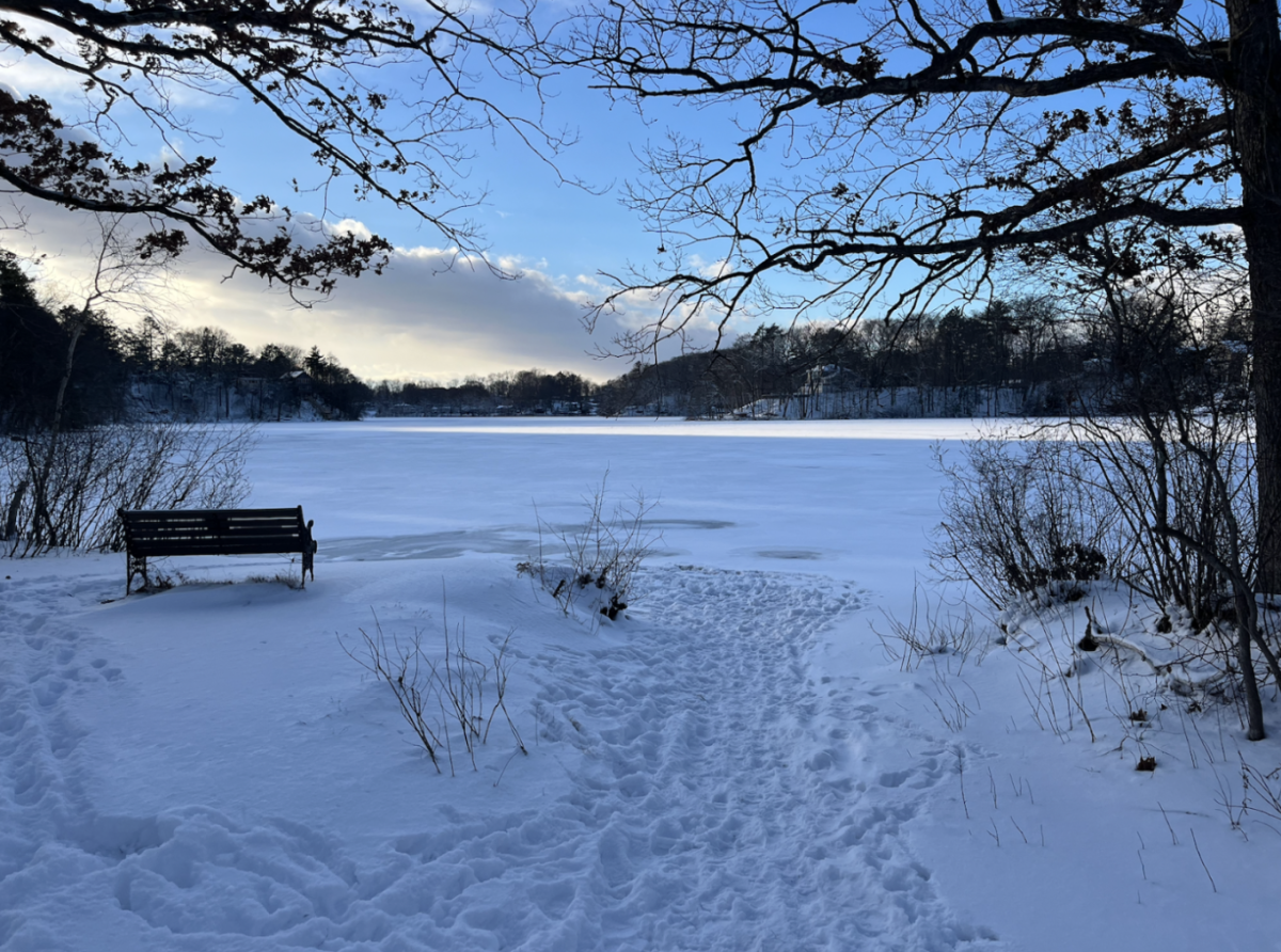 In January of 2024, Dudley Pond saw a flurry of snow which froze the pond and covered the ground in a white blanket.