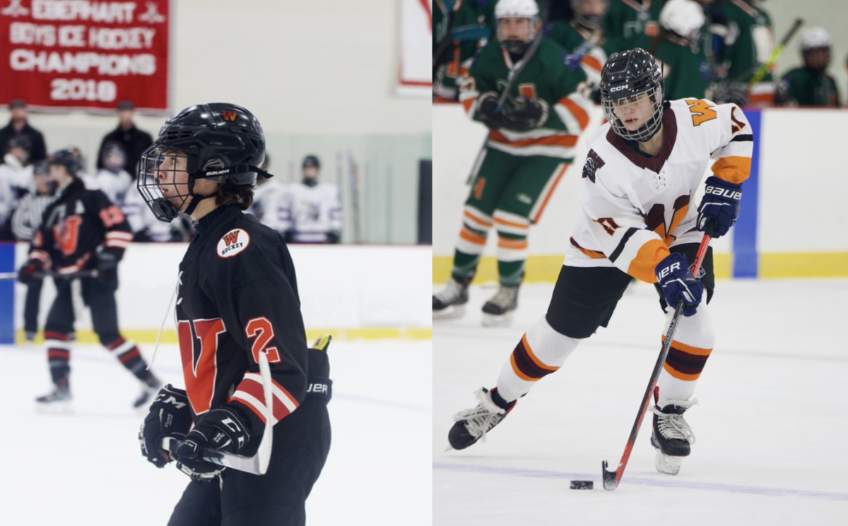 Both the boys and girls hockey teams are co-ops with other towns. The boys team is a co-op with Watertown, and the girls team is a co-op with Weston and Newton South.