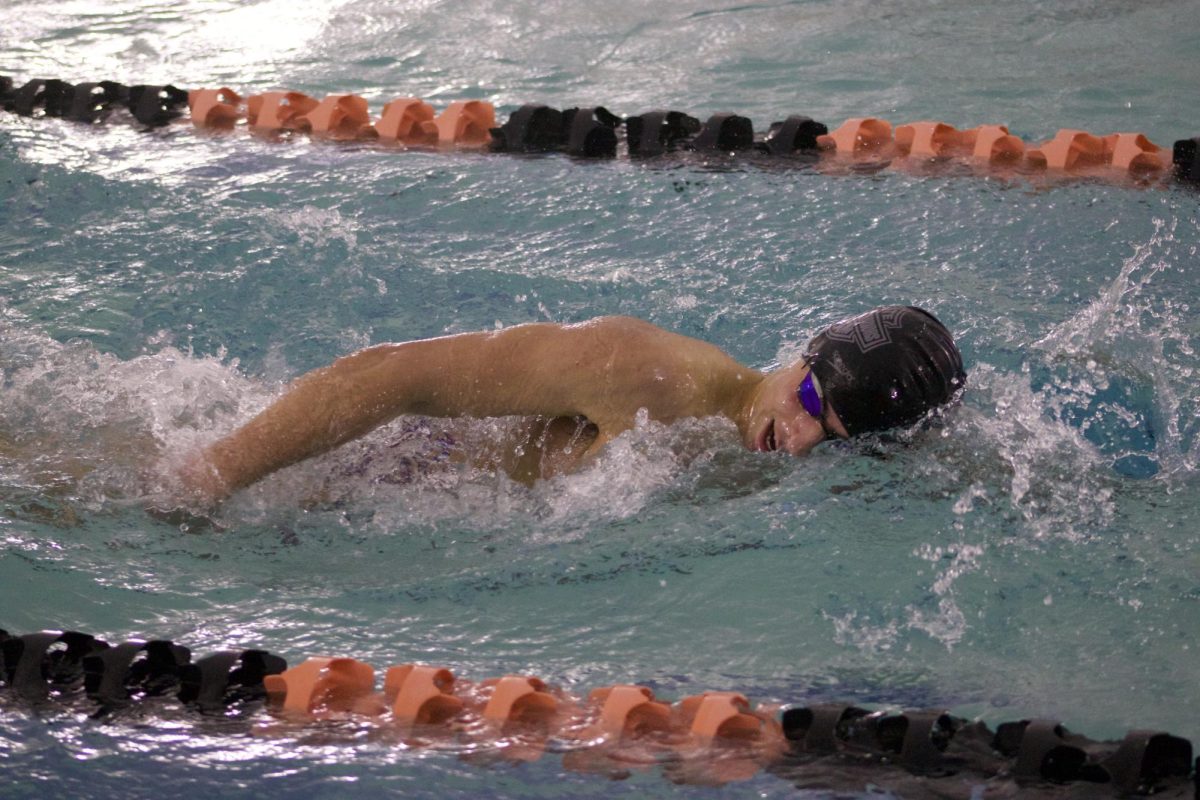 Both the boys and girls swim and dive teams had a successful state championship meet. The boys team won their second straight state championship, while the girls team got second place.
