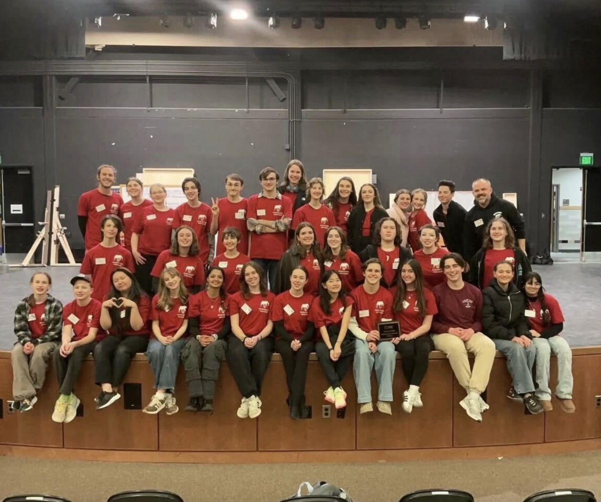 The Wayland High School Theater Ensemble's (WHSTE) original play has moved on to the final round in the  Massachusetts Educational Theater Guild State Drama Festival. The cast will represent Wayland among 15 out of 100 schools at the Finals competition  in Boston from March 26-28.