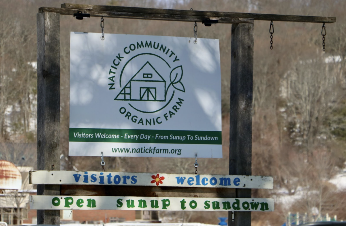Take a look inside Natick Community Organic Farm as WSPN’s Grace Zocco and Molly Bergeron explore the farm’s maple sugaring tours, animals and family-friendly activities.